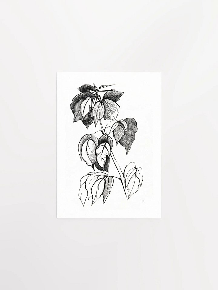 Botanical Bliss Matte Poster - Stylish Graphical Twig product image (1)