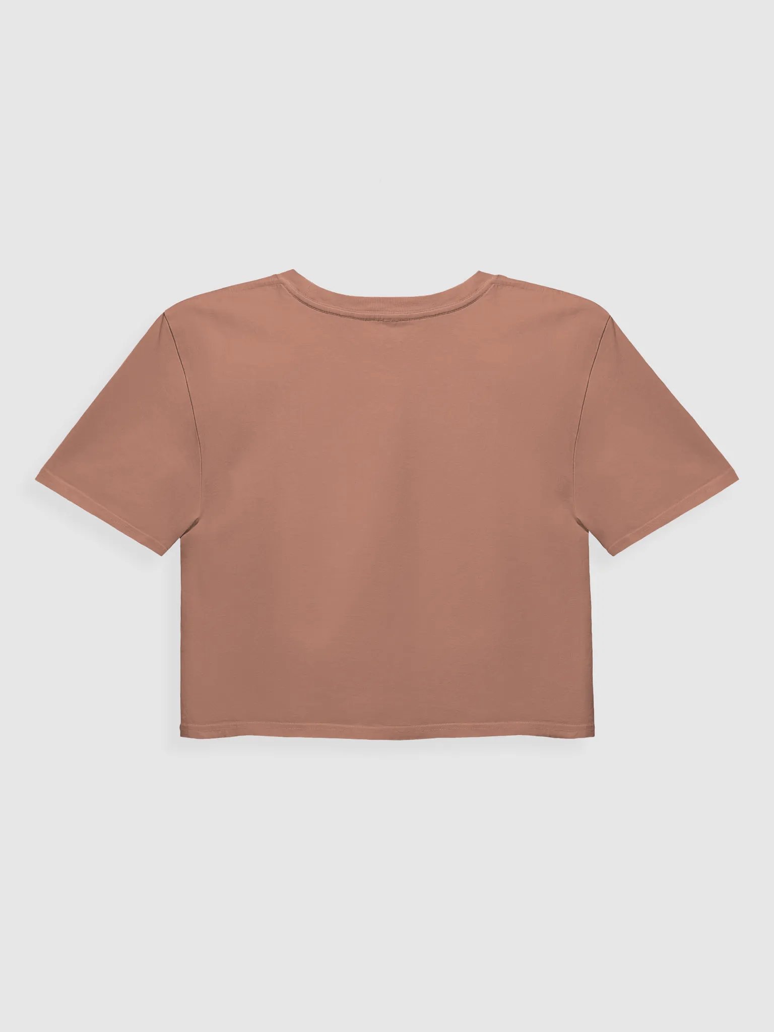 Prideful Protest Crop Top product image (10)