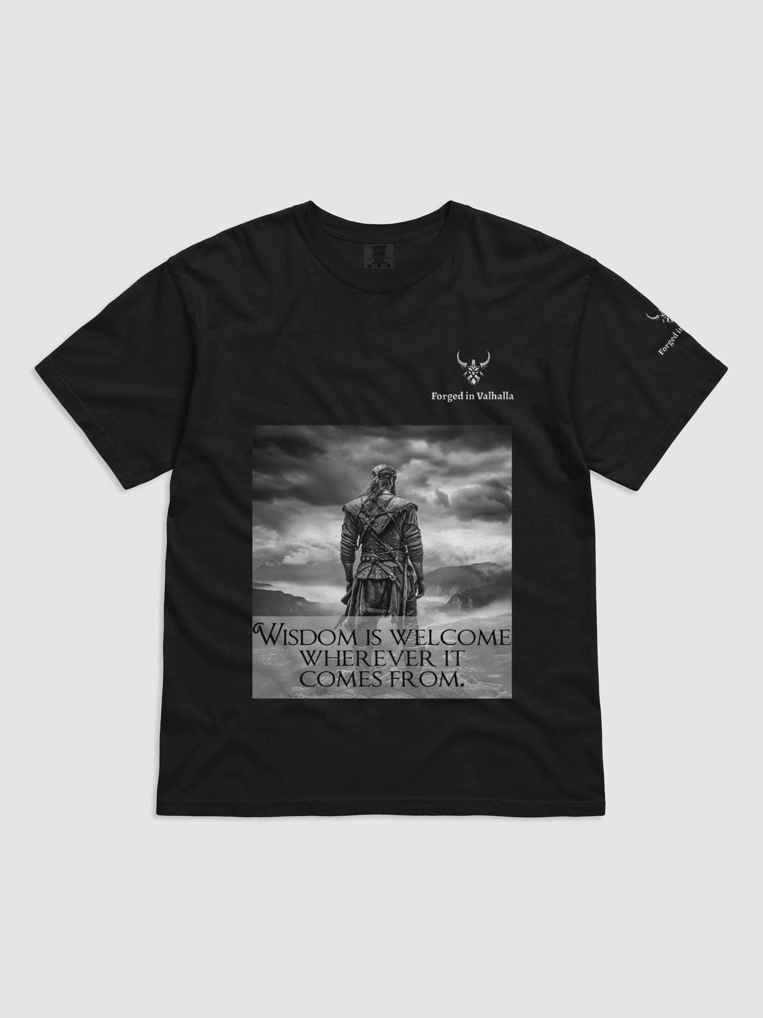 Wisdom is Welcome Men's Viking T-Shirt product image (9)