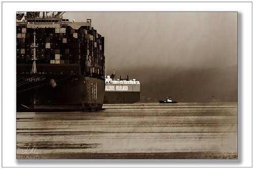 A Foss tug — tiny against the stern of a Wallenius Wilhelmsen car carrier and an HMM container ship in Tacoma Harbor. David a...