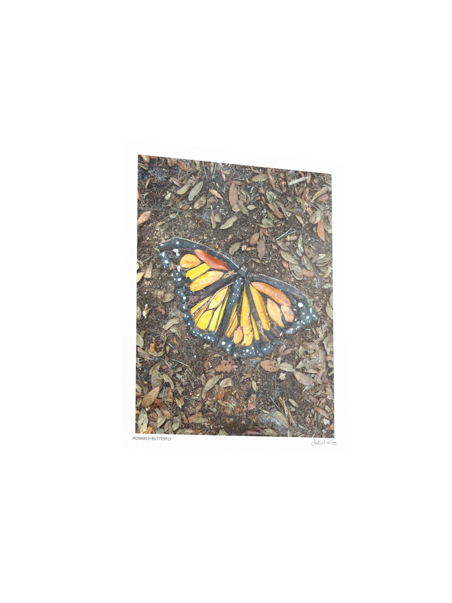 MONARCH BUTTERFLY | Nature Art Print product image (4)