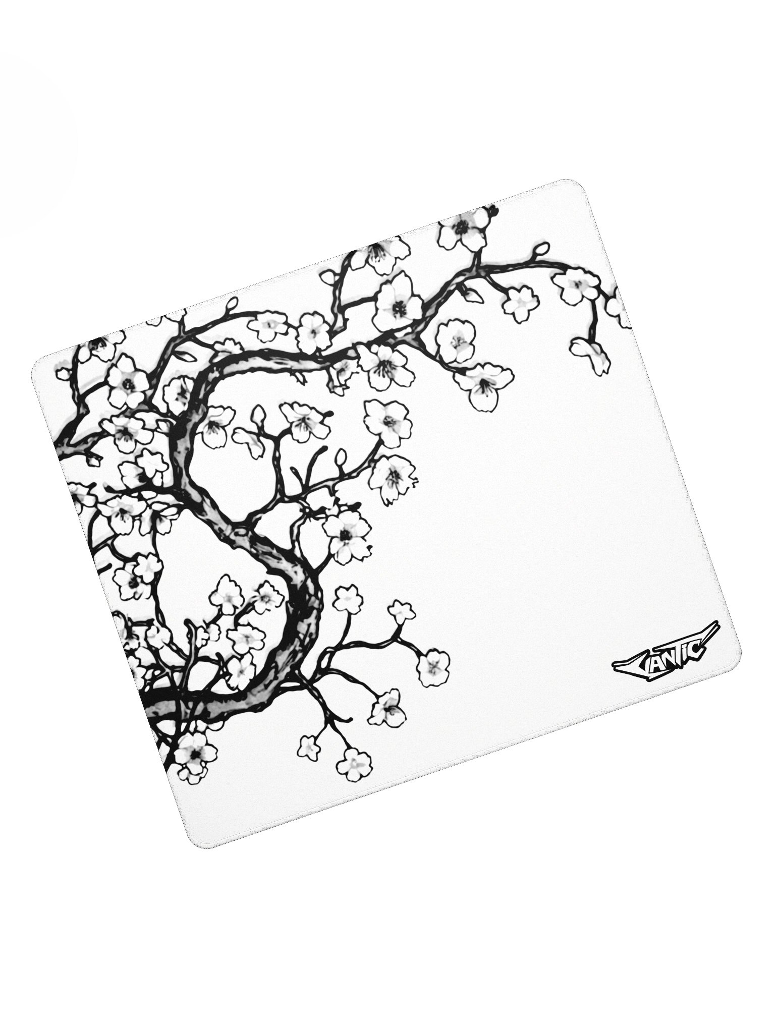WINTER BLOOM × 004 product image (2)