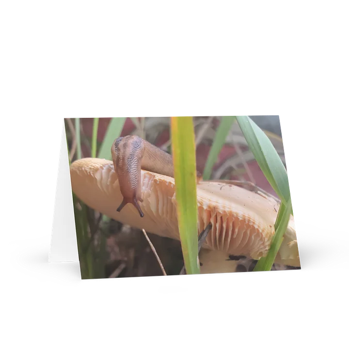 Mushroom Magic Greeting Card product image (1)
