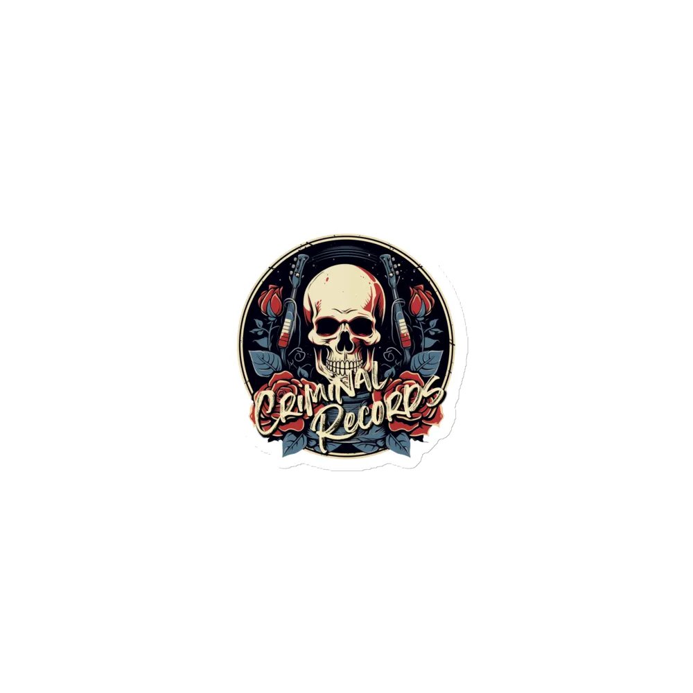 Criminal Records Magnet product image (1)