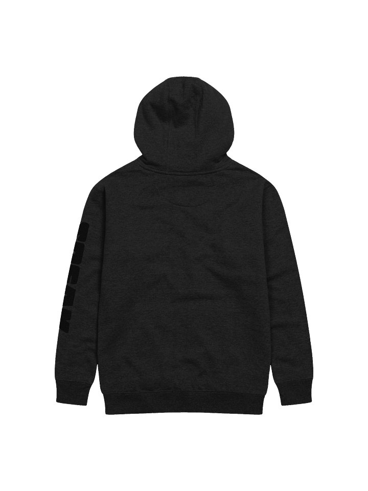 SPEAK Boldly Premium Hoodie product image (17)