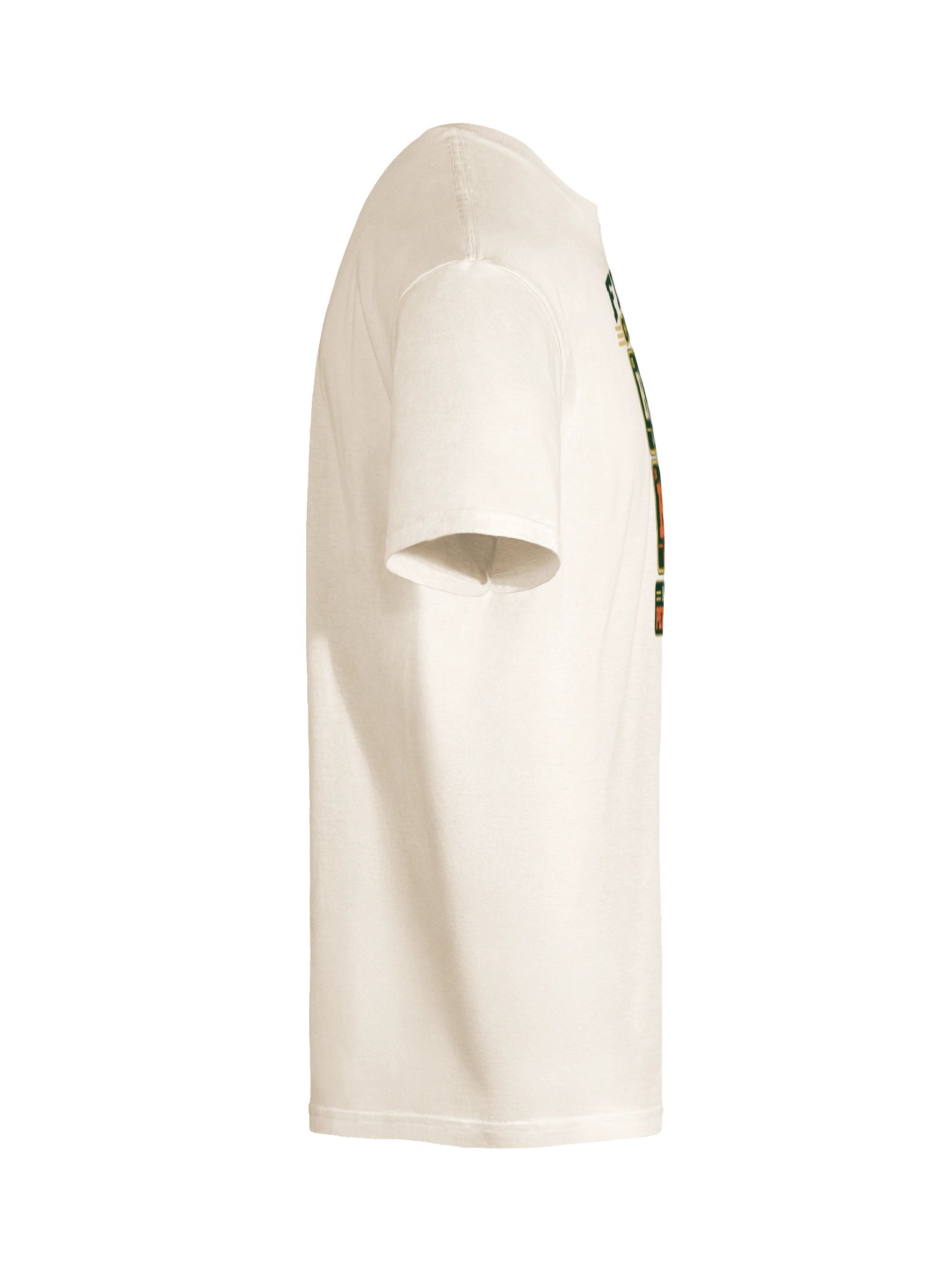 Fishing Conditions T-Shirt product image (10)