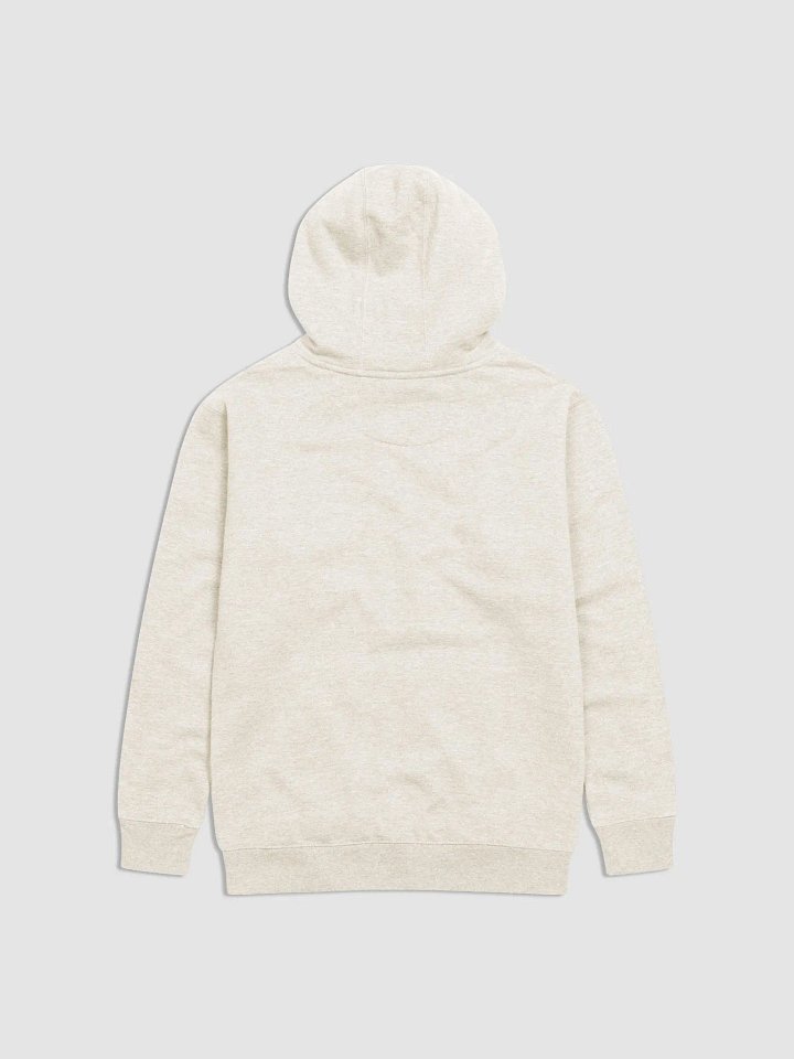 Morality Matters Unisex Hoodie product image (21)