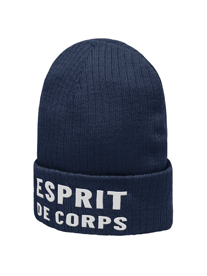 Esprit de Corps Knit Beanie product image (11)