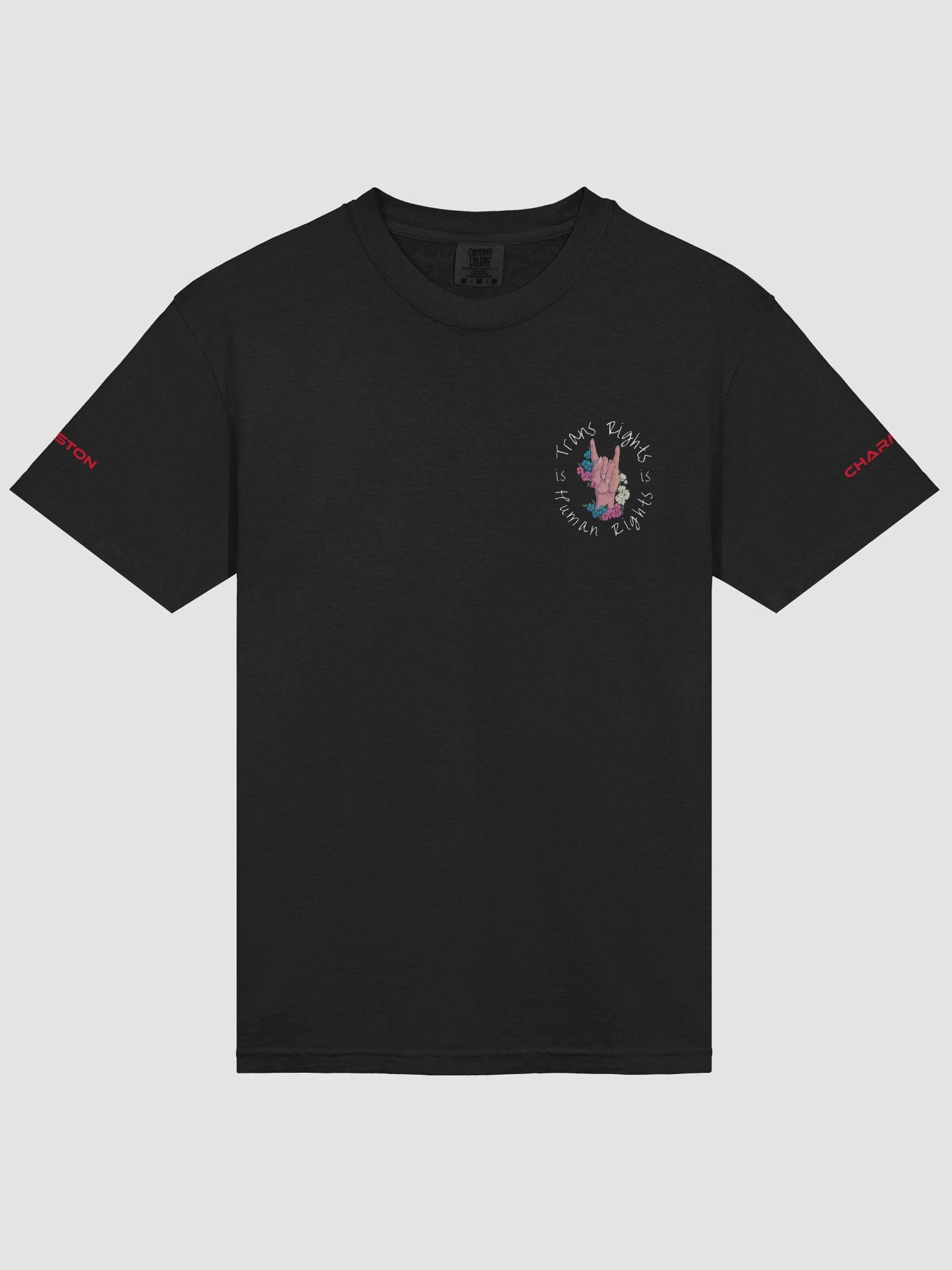 Trans Rights T-Shirt product image (5)