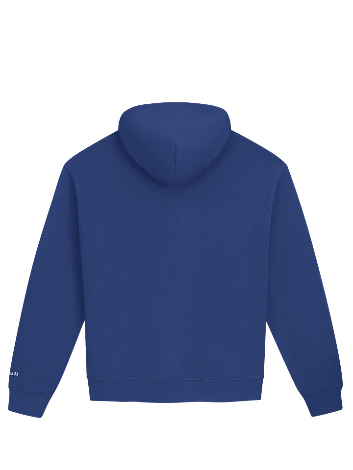 Embroidered Unisex VIP Hoodie with Psalms 23 on sleeve product image (2)