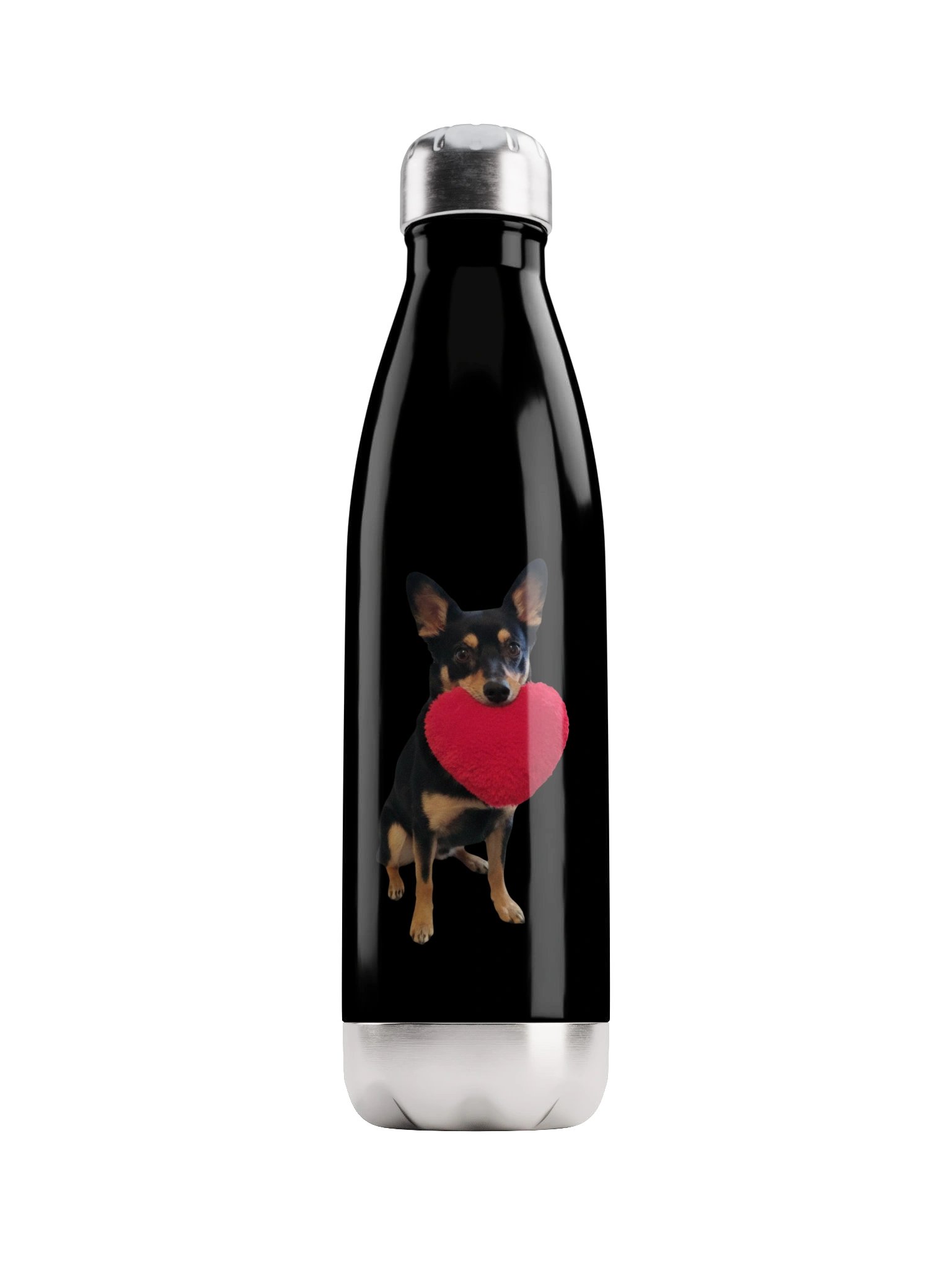 Titus Bottle product image (1)