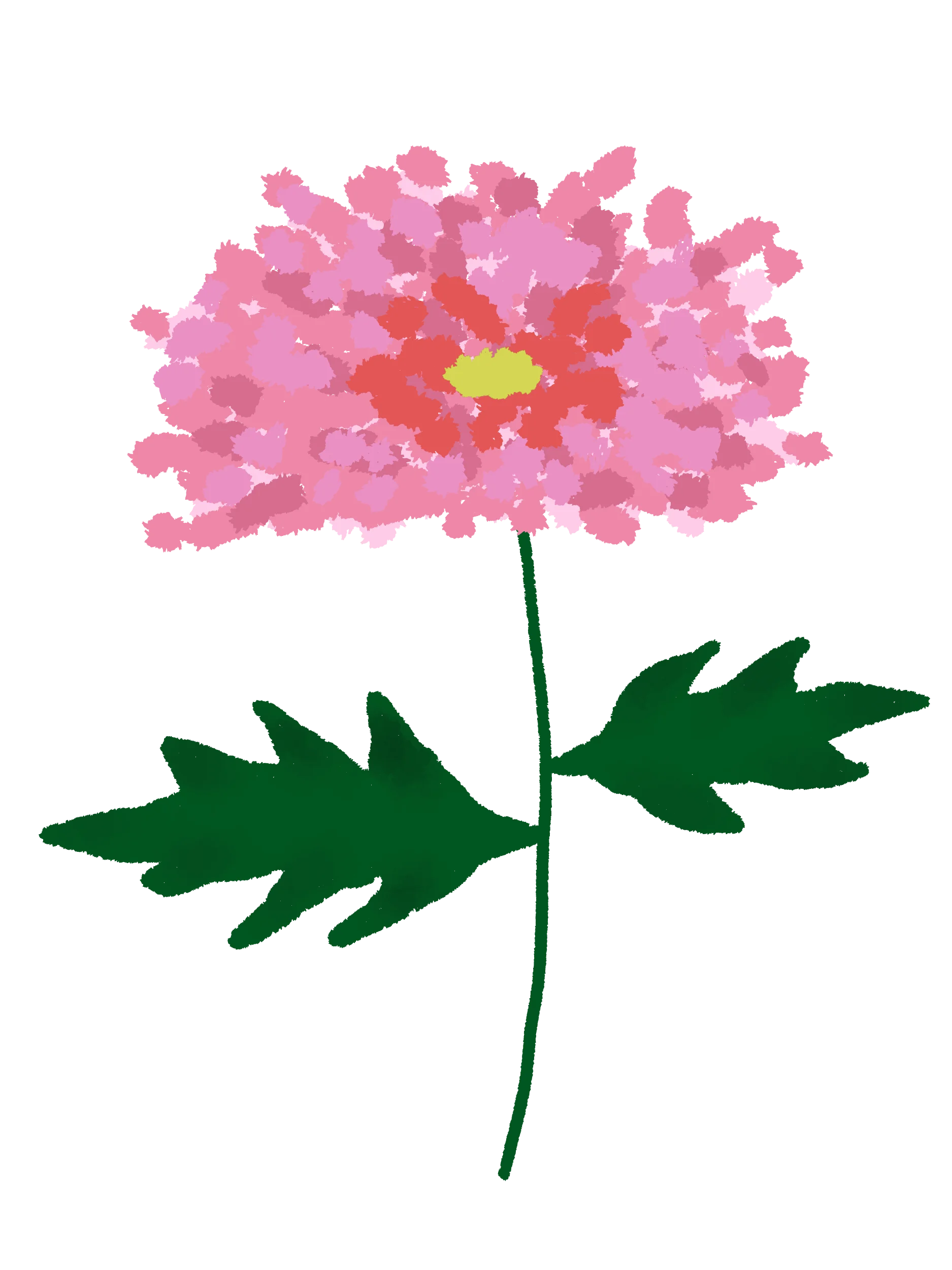 20 Hand-Drawn Flower & Botanical PNG Clipart Bundle product image (5)