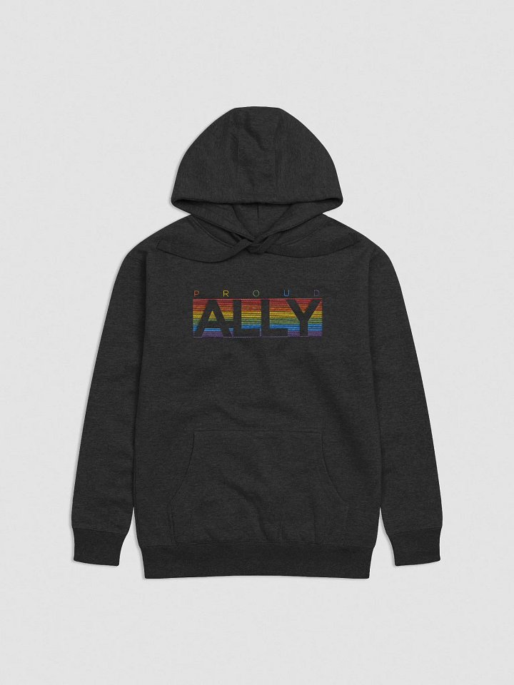 PROUD ALLY Premium Hoodie product image (7)