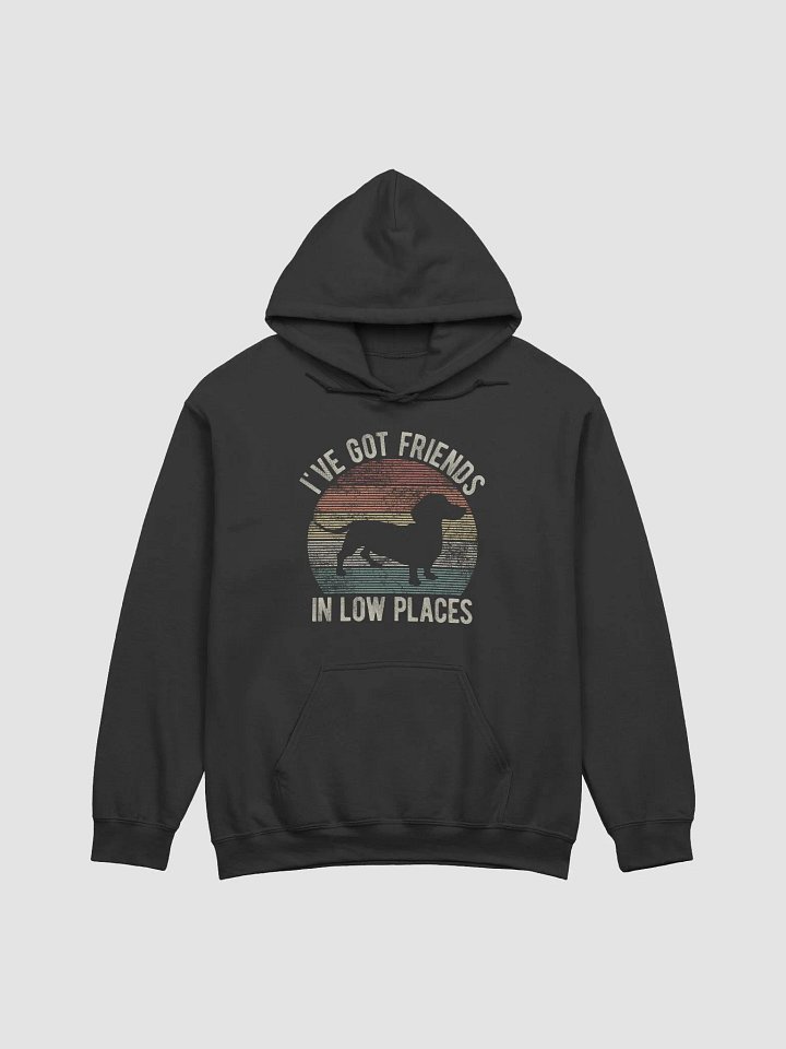 I've Got Friends in Low Places Dachshund Hooded Sweatshirt | Funny Vintage-Style Hoodie for Wiener Pawrents product image (1)