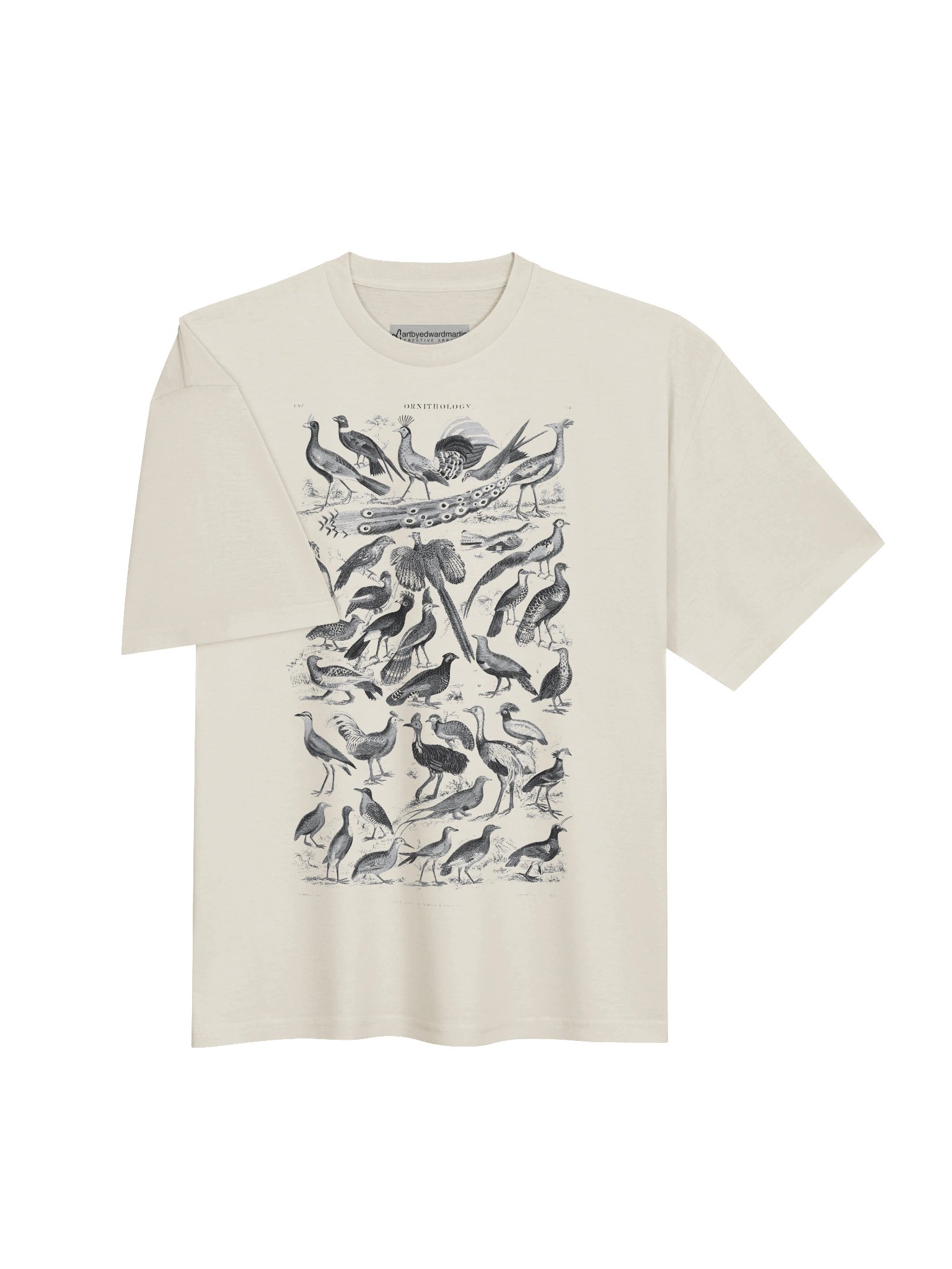 Ornithology Chart Oversized Tee product image (6)