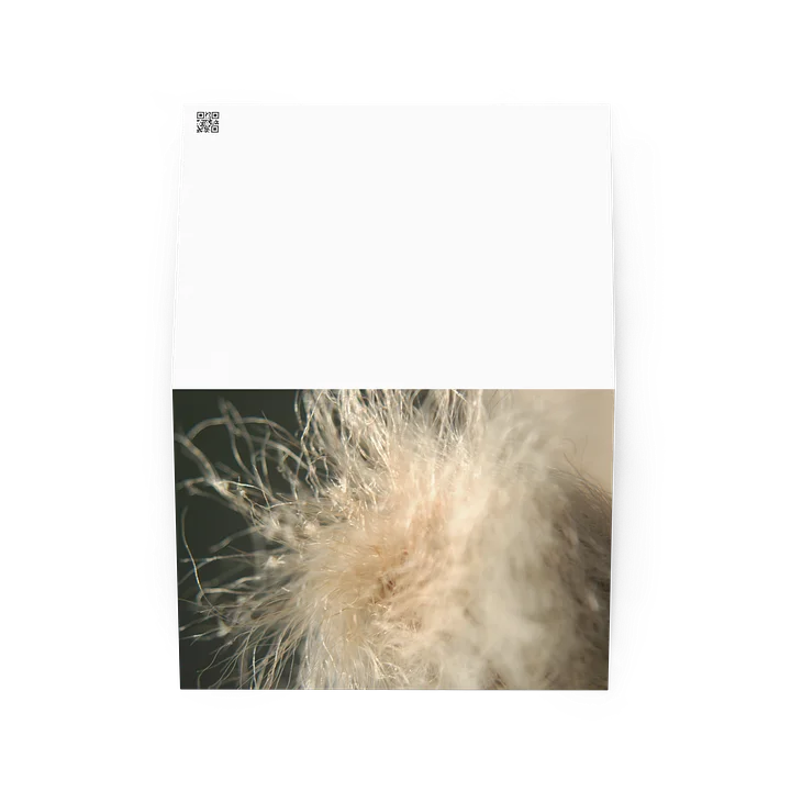 fluff — from "holding" | greeting card | eza | casa de karma product image (2)