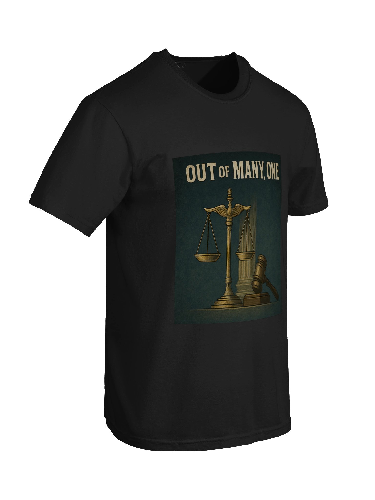 Out of Many T-Shirt product image (45)