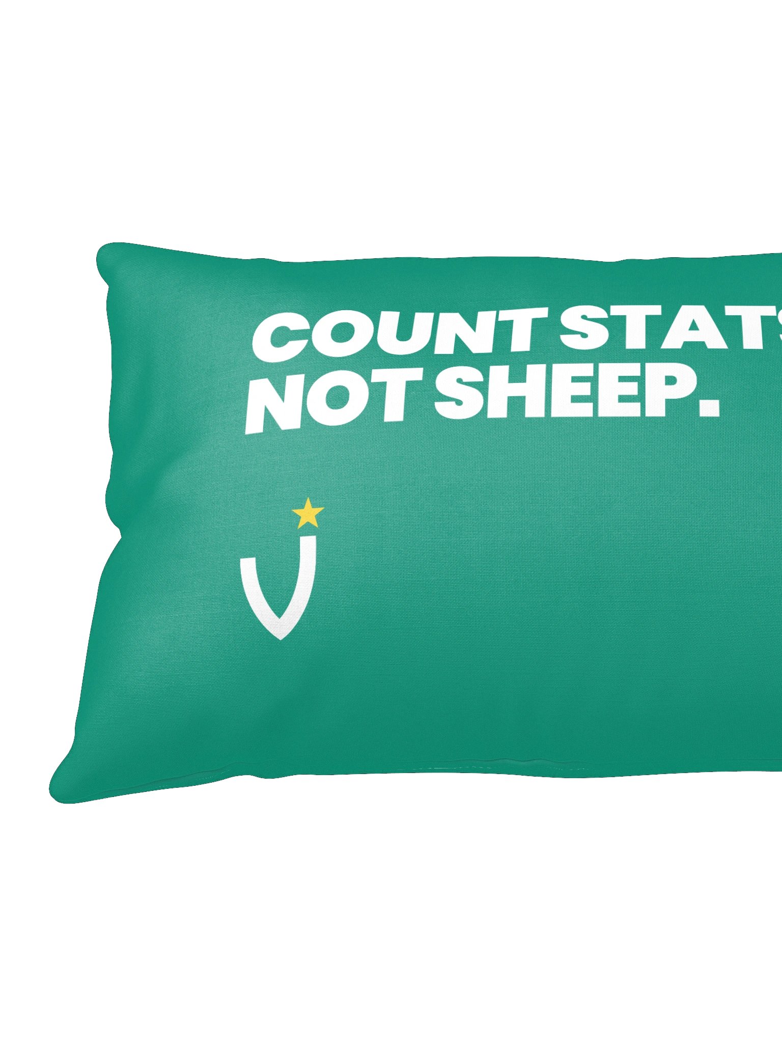 COUNT STATS, NOT SHEEP Basic Pillow product image (3)
