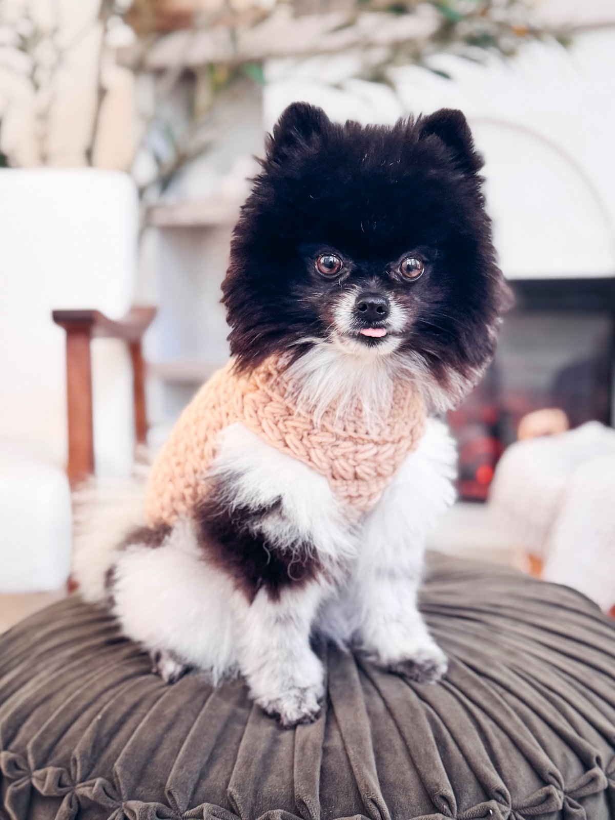 Wheat Stitch Dog Sweater Crochet Pattern in 8 Sizes product image (8)