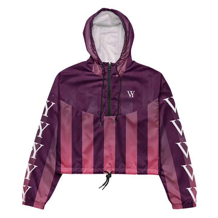VY Stripe Cropped Windbreaker product image (2)