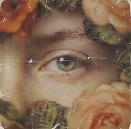 Our @rottweiler.records mates @prevailer_nj_  just dropped a beautiful new song “Entry Wound” - check it out! 

https://open....