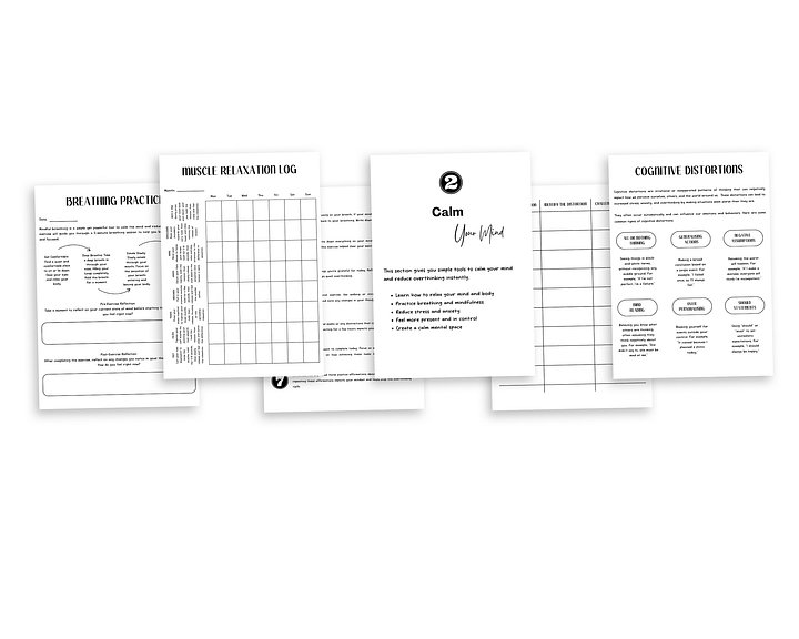 Mental Clarity Reset Sheets product image (2)
