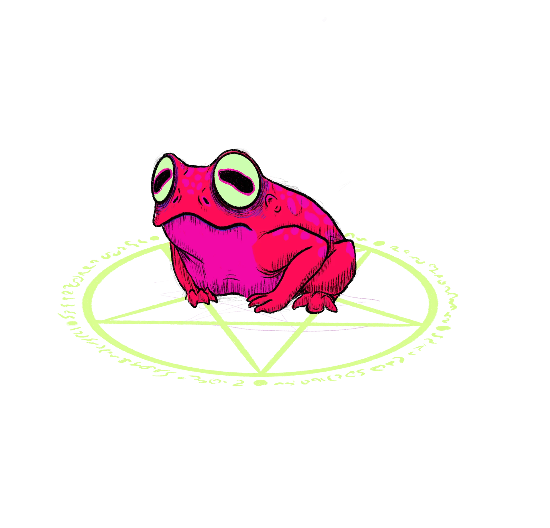 Frog buddy product image (1)
