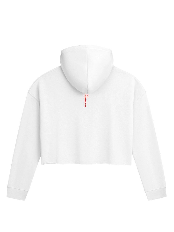 Bad Chemistry: Label Crop Hoodie product image (6)