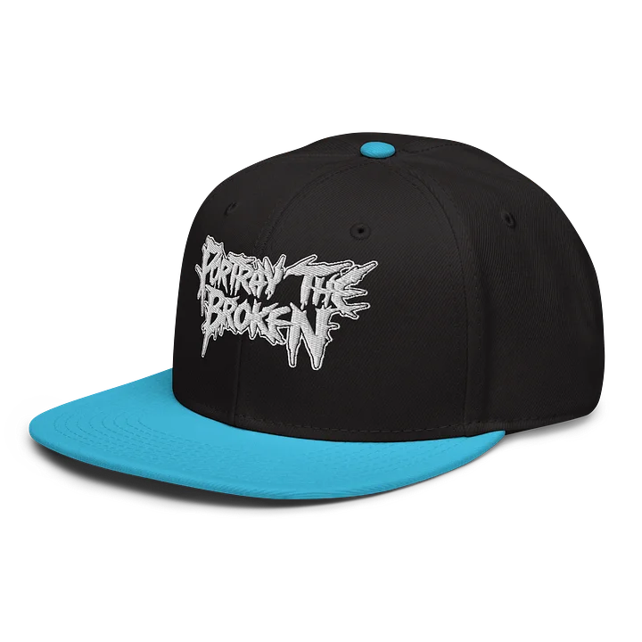 Portray the Broken Snapback Hat product image (39)