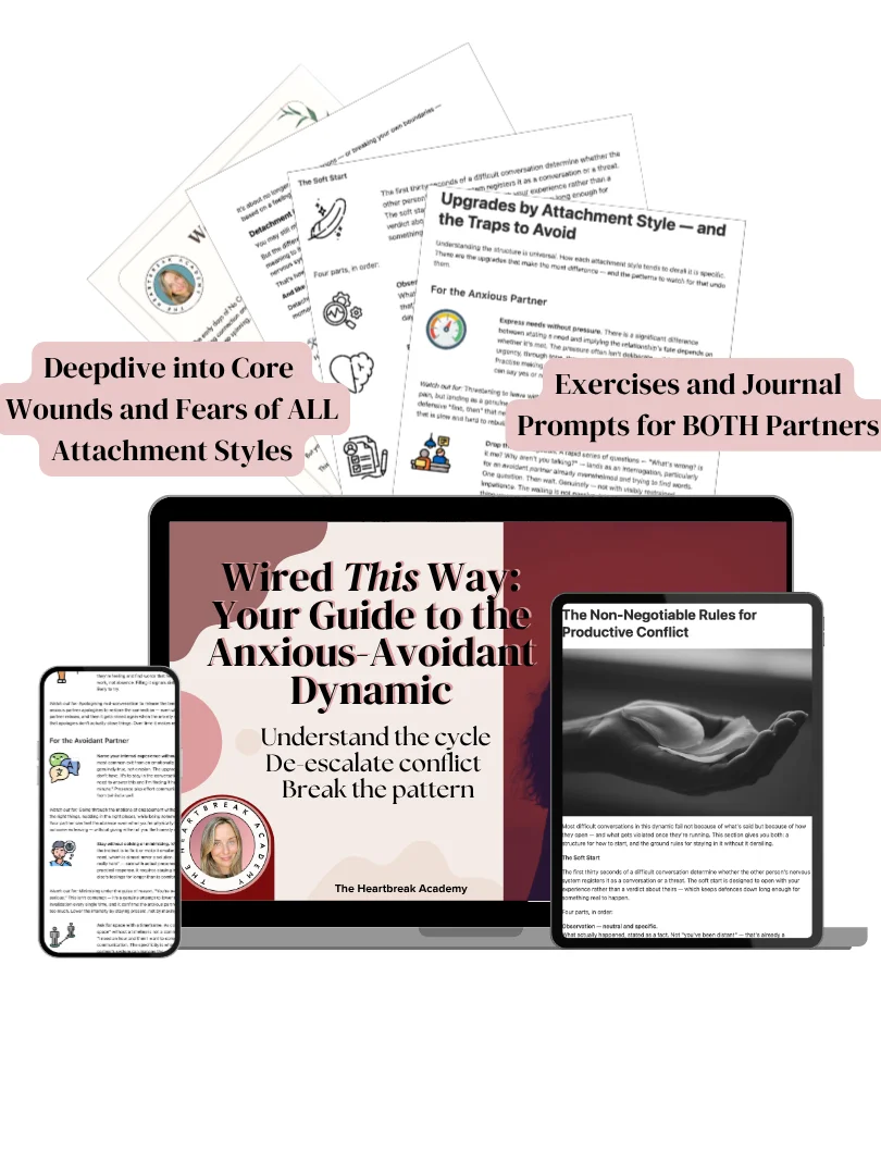 Guide to the Anxious-Avoidant Dynamic product image (1)