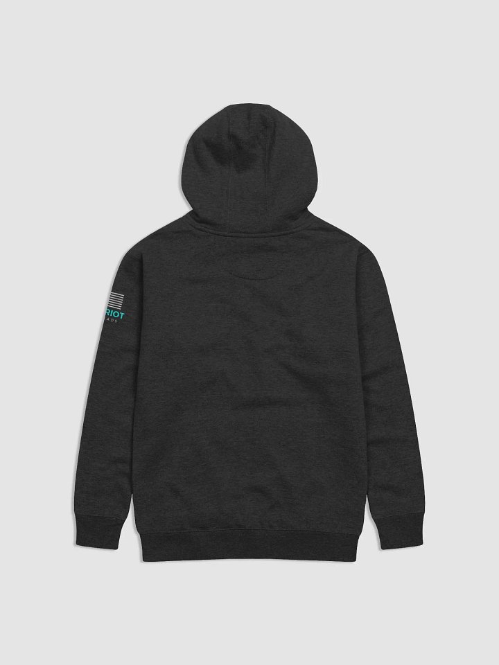 I PLEAD THE 2ND HOODIE product image (2)