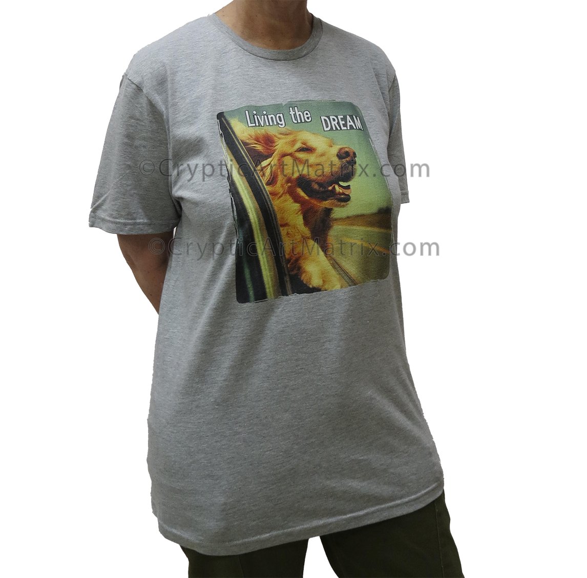 Dream Chaser Living the Dream - Unisex T-Shirt product image (28)