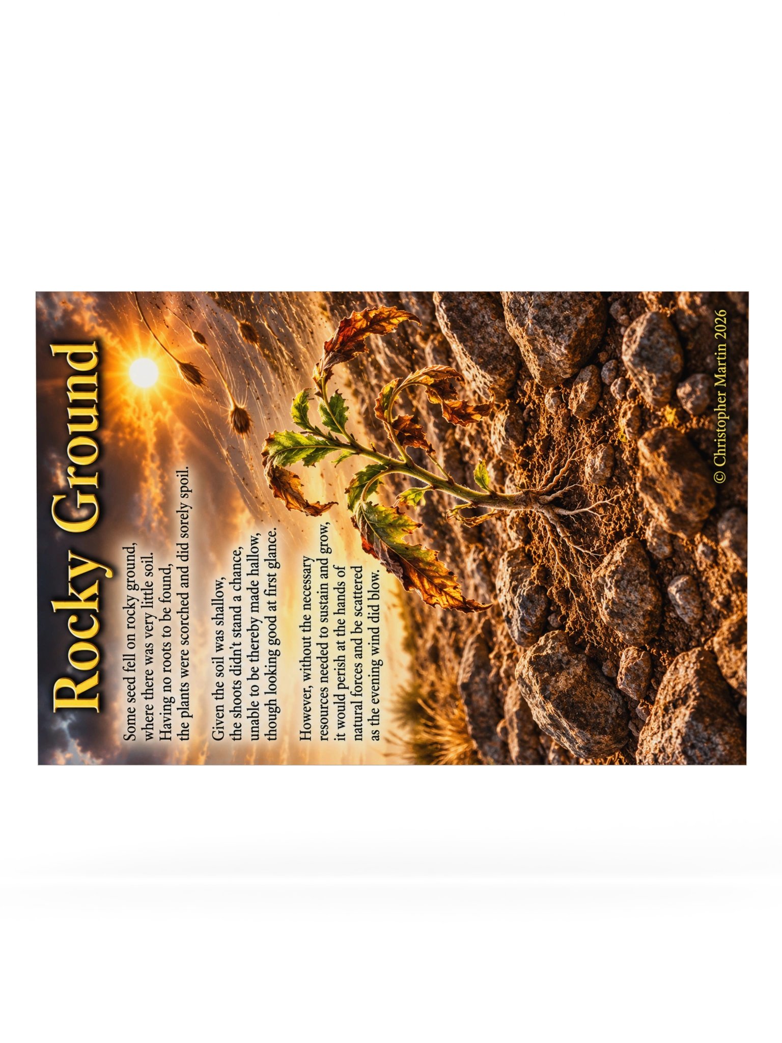 Rocky ground product image (6)