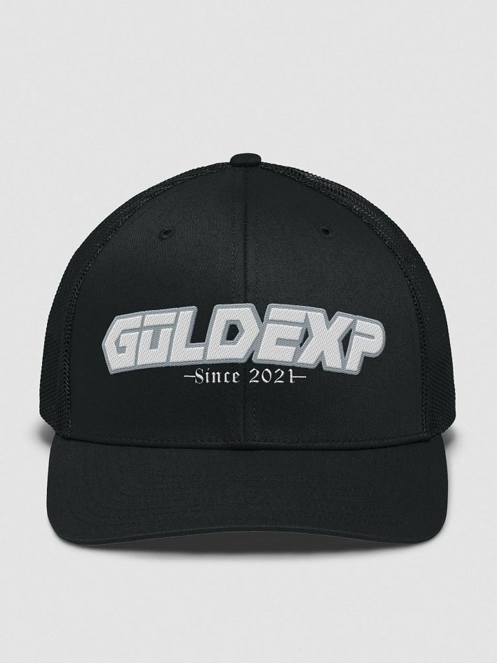 GOLDEXP~FUTURE product image (1)