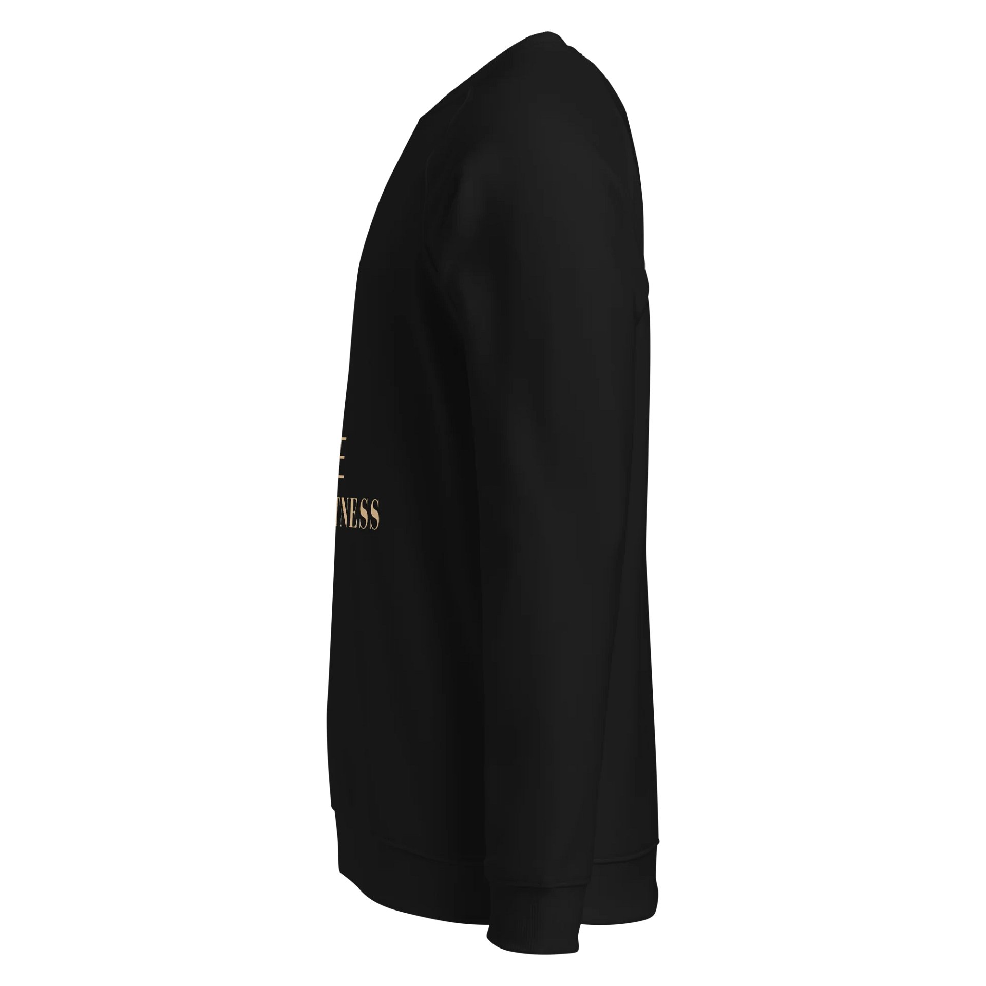 Women's Organic Raglan Sweatshirt ORFB0114 product image (4)