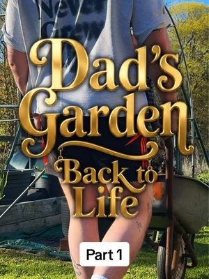 Something a bit different from us ❤️ family is everything to me, over the next month we’re gonna be sharing some updates working on my dad’s garden with him. Getting it back up and running for the summer!  With some help from our friends over at @Birdfy by Netvue  Use our special discount code! “HeySteven” #fyp #foryou #gardening #feedingsteven #ad