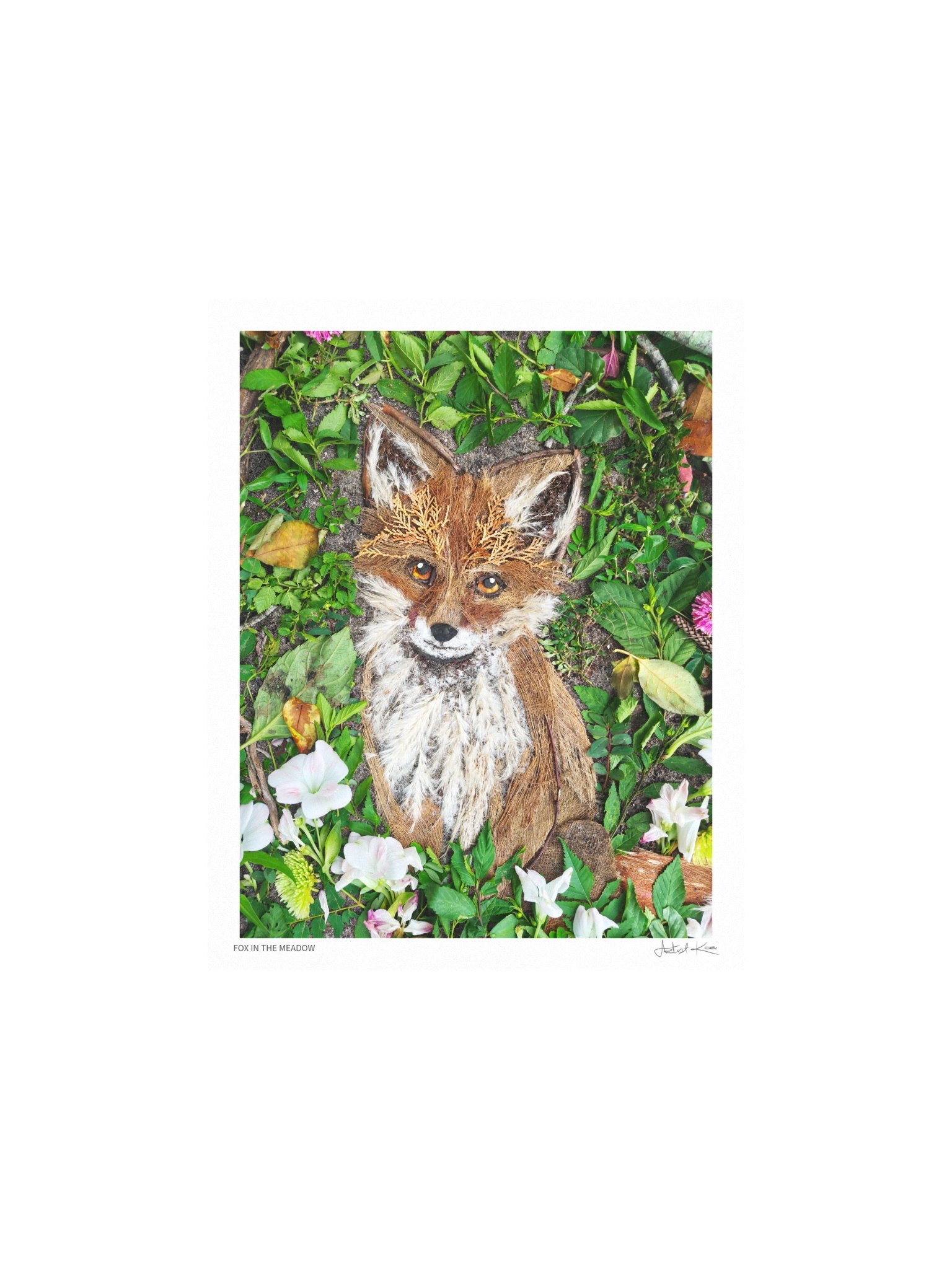 FOX IN THE MEADOW | Nature Art Print product image (2)