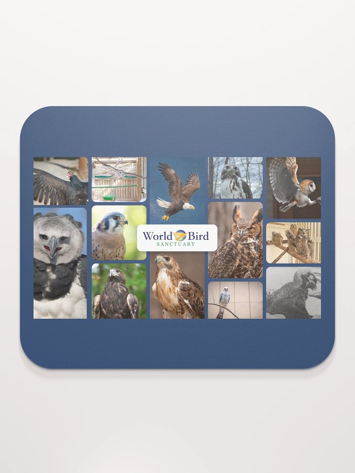 Birds of WBS Mouse Pad product image (2)