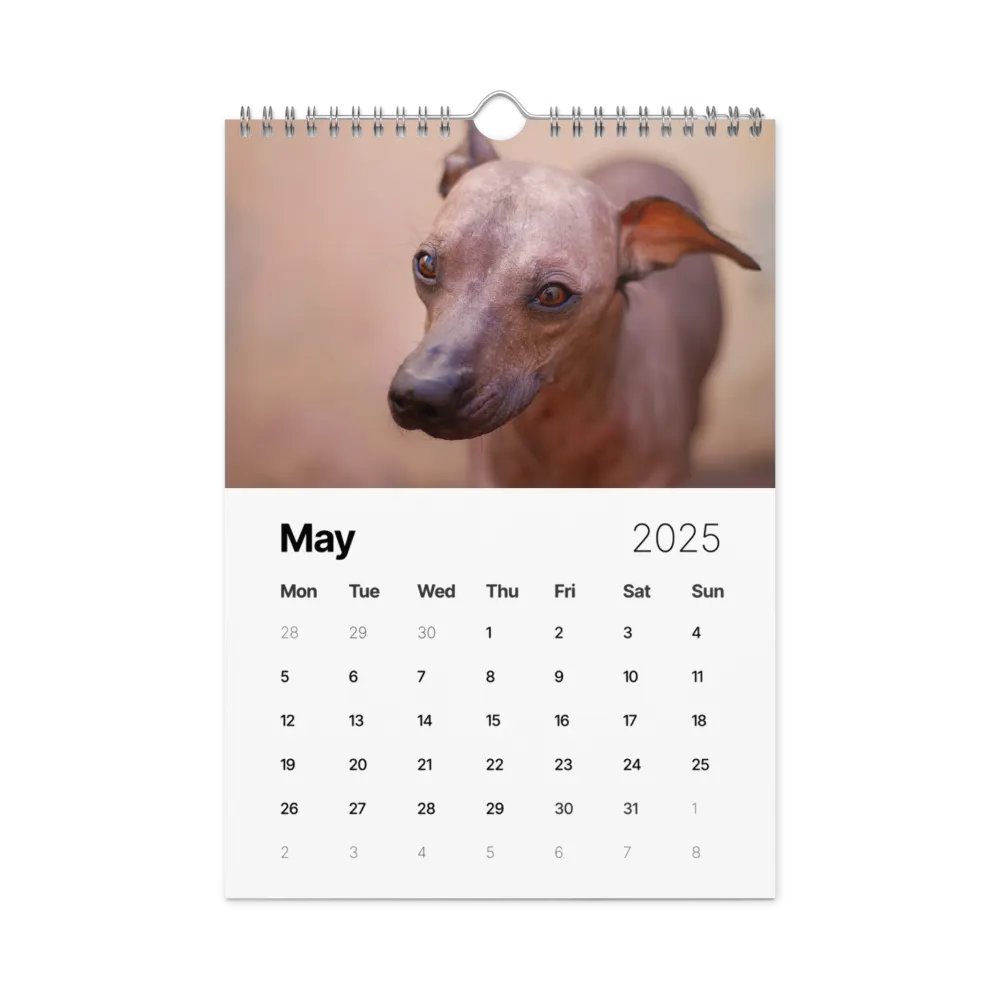 The first year - 2025 Calendar product image (6)