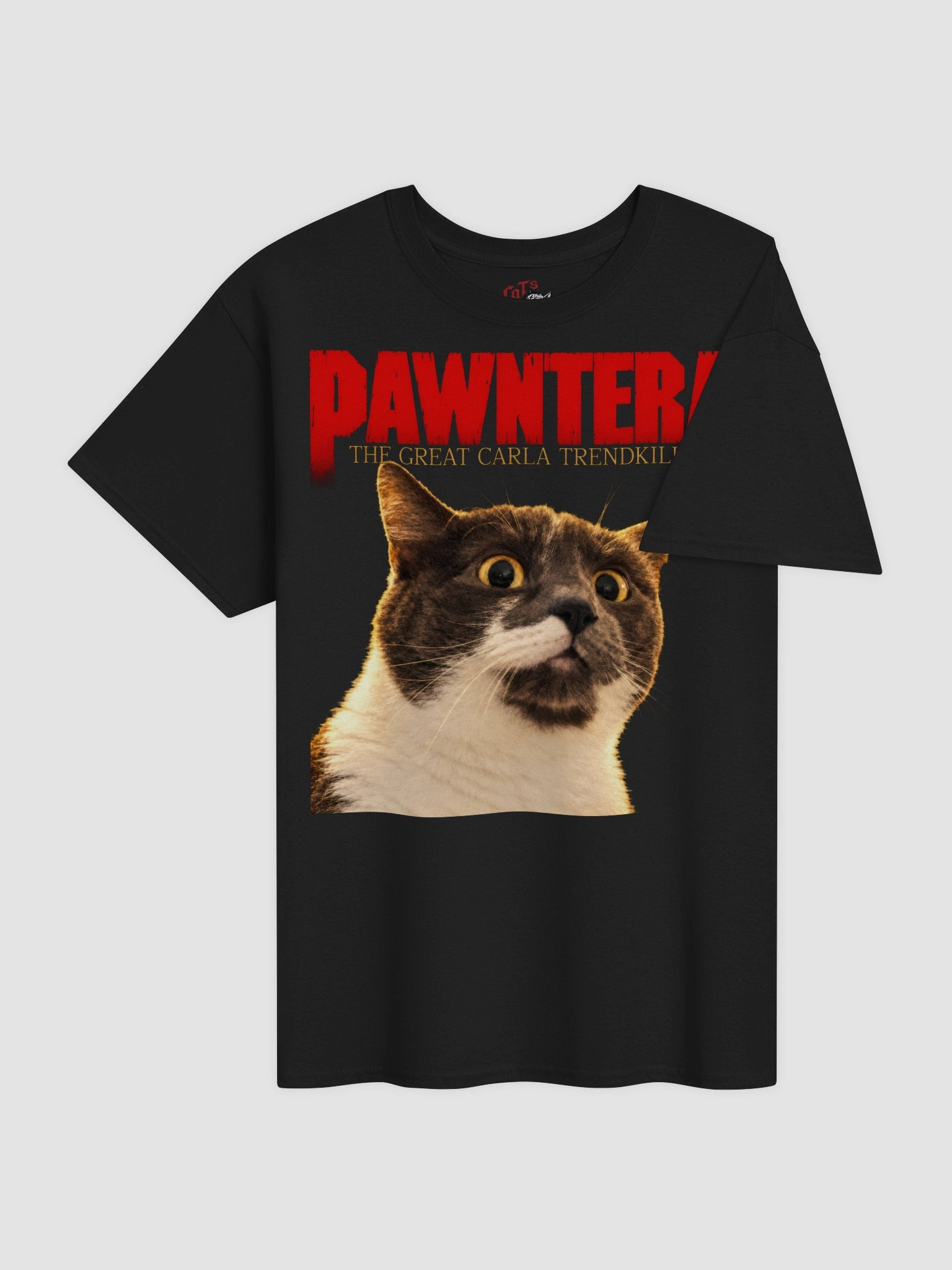 Carla Pawntera Tee product image (3)