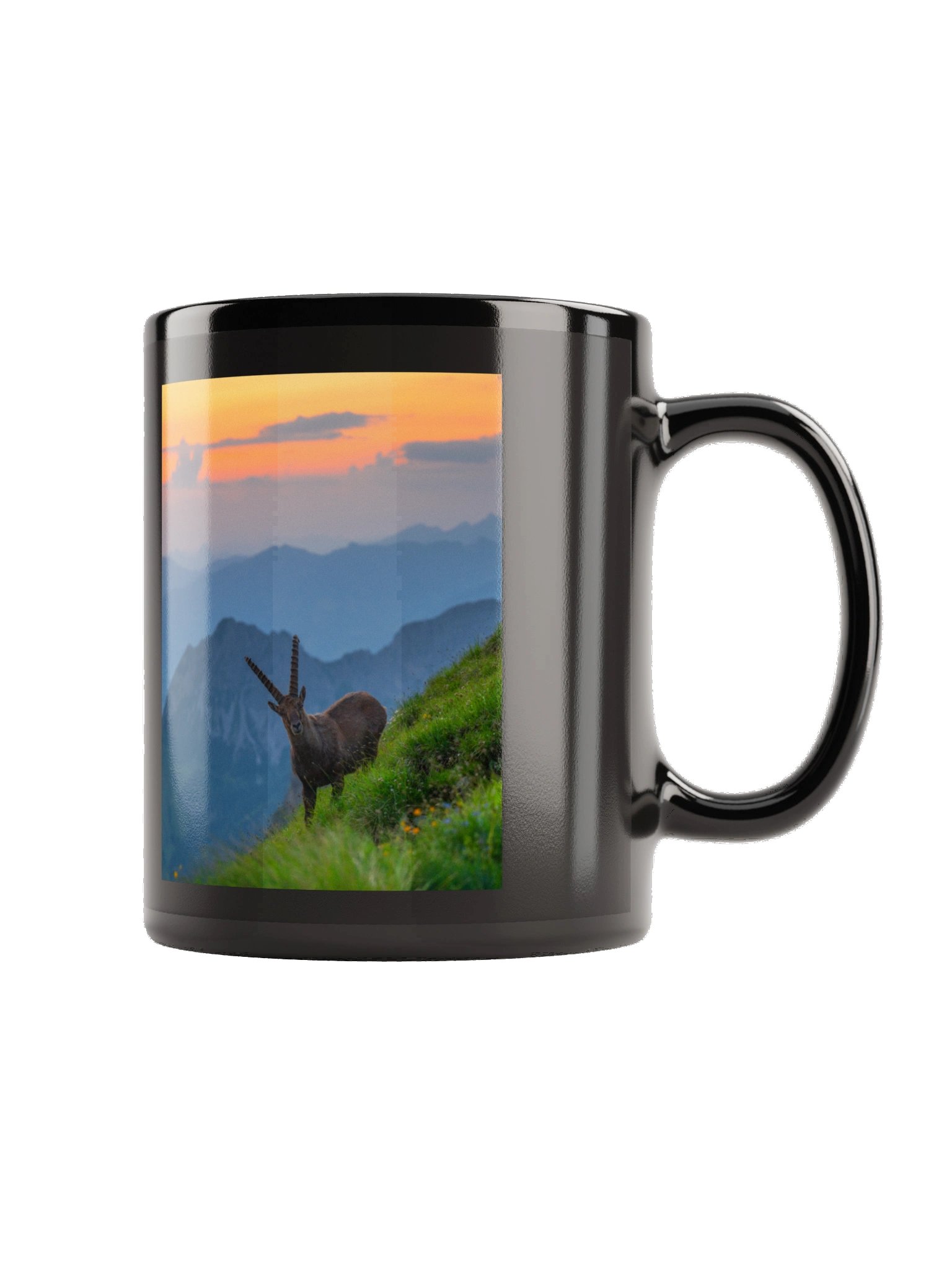 Ibex at the Brienzer Rothorn product image (6)