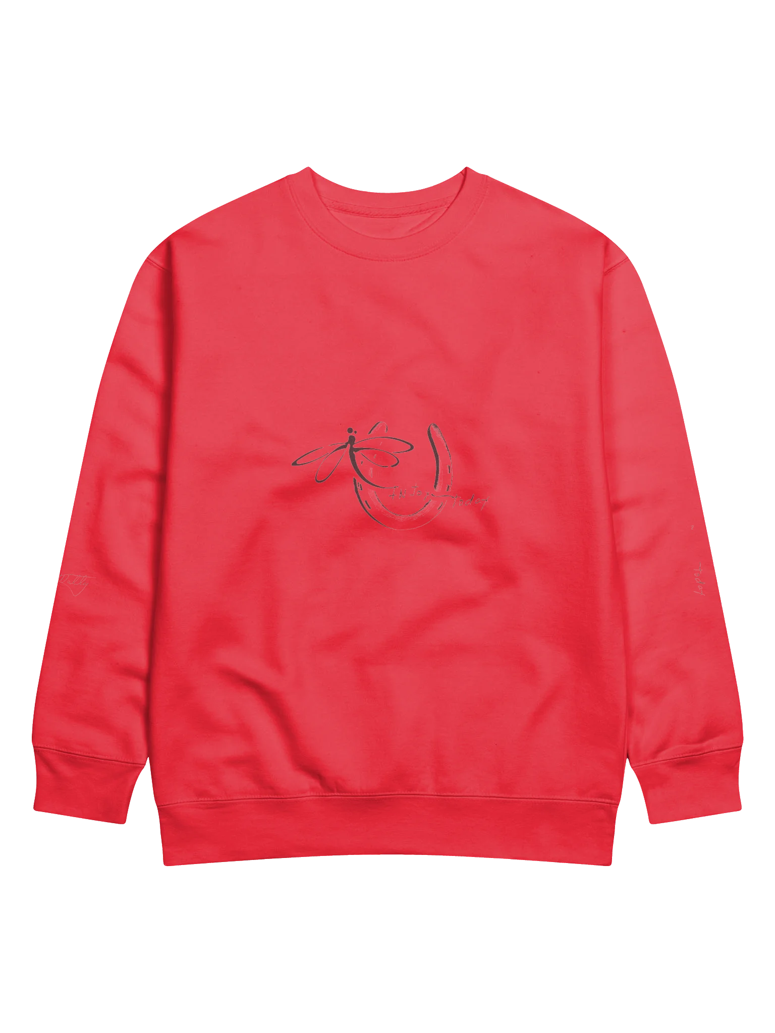 InJoy Today Essential “Armor” Sweatshirt | Premium Unisex Encouragement Crewneck product image (4)