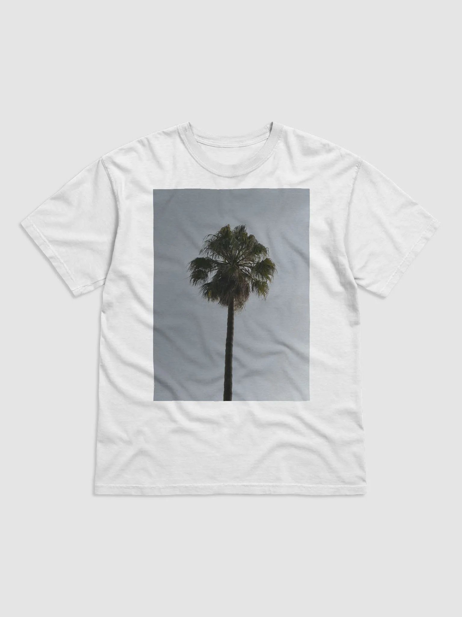Palm Tree product image (1)
