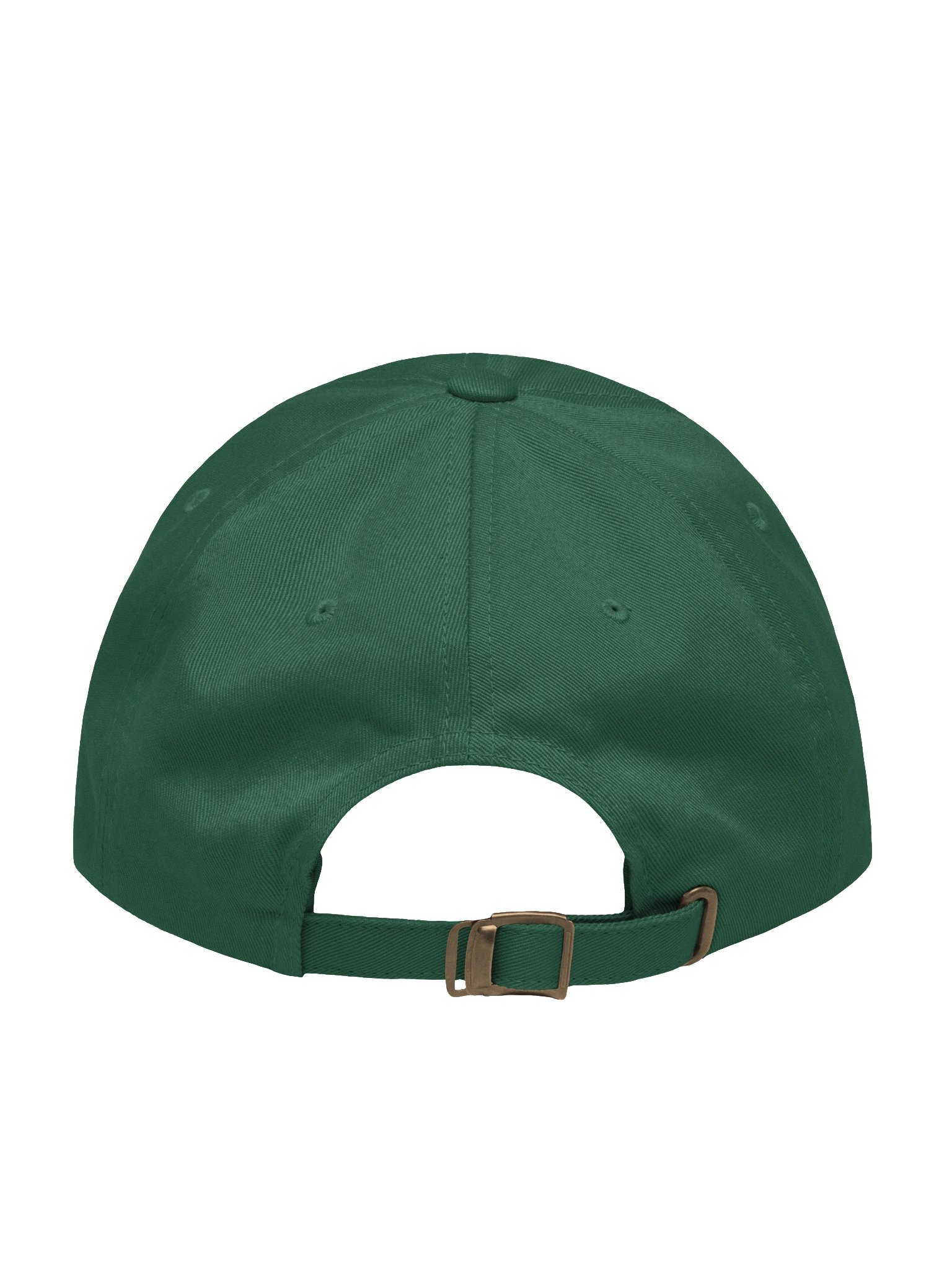 NOTHING RUNS LIKE A BEERE Dad Hat product image (2)