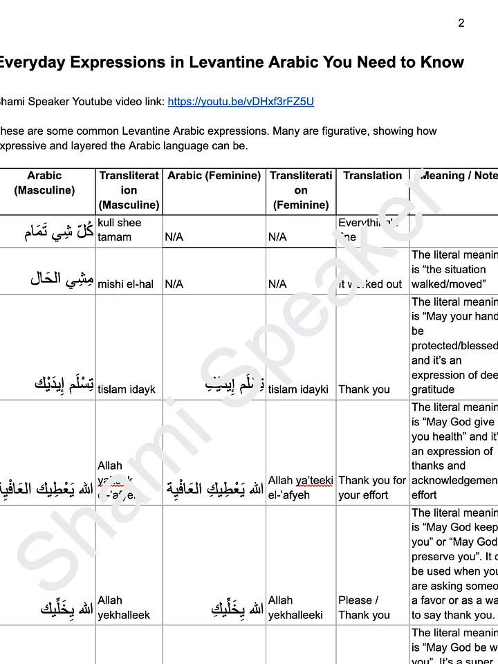 Everyday Expressions in Levantine Arabic You NEED to Know product image (2)