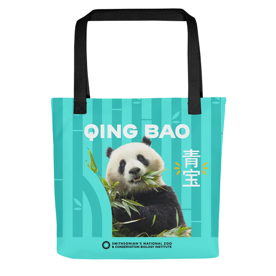 Bao Li & Qing Bao Tote Image 3