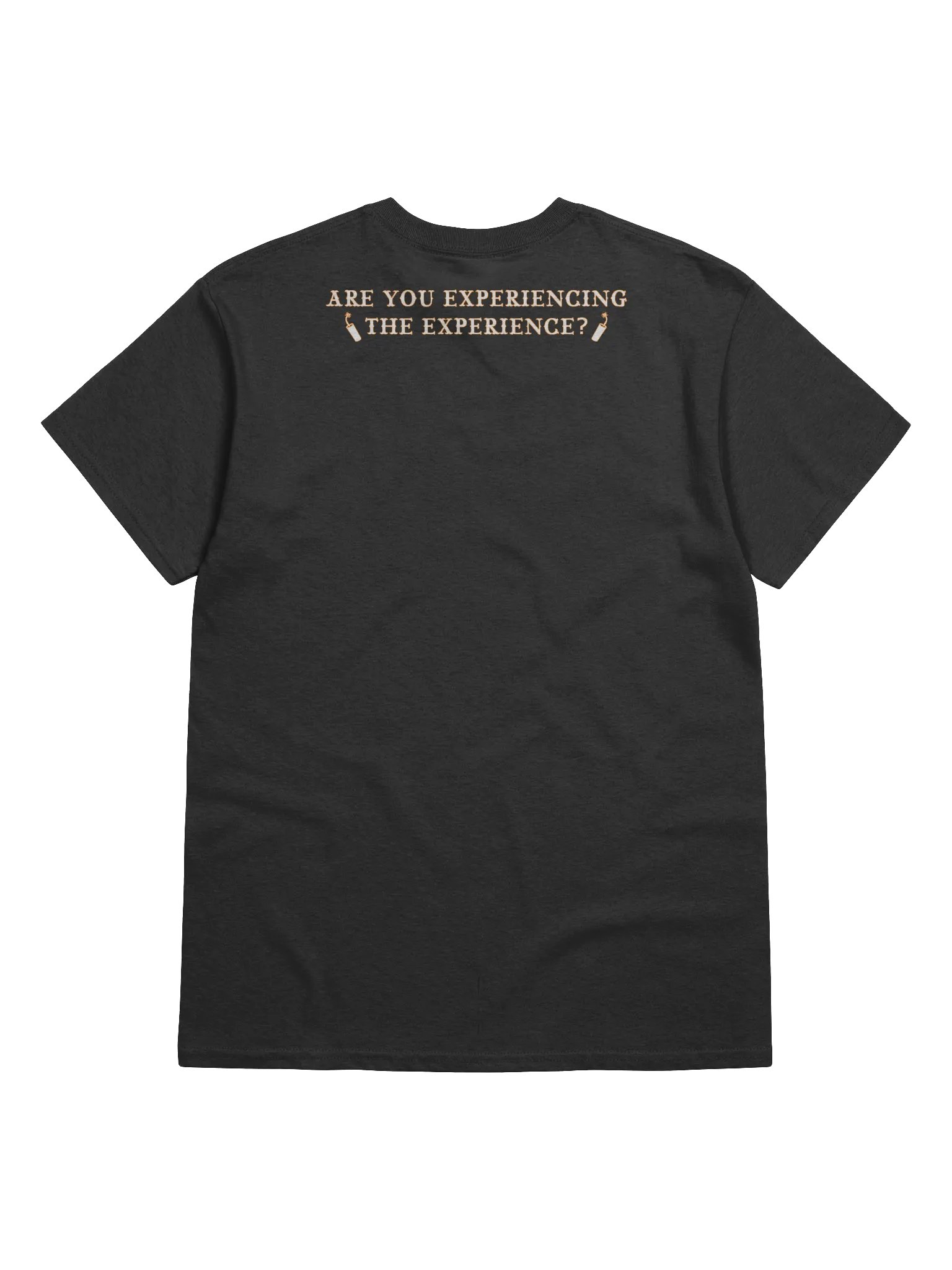 Party Wagon T-Shirt product image (2)
