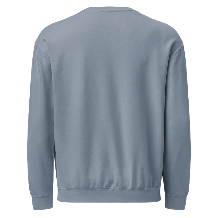 USA Guts Crewneck - Black Logo product image (21)