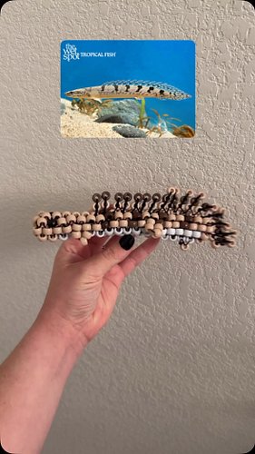 i made a Delhezi Bichir out of beads!!! #kandi #beads #fishofinstagram #artsandcrafts #delhezibichir