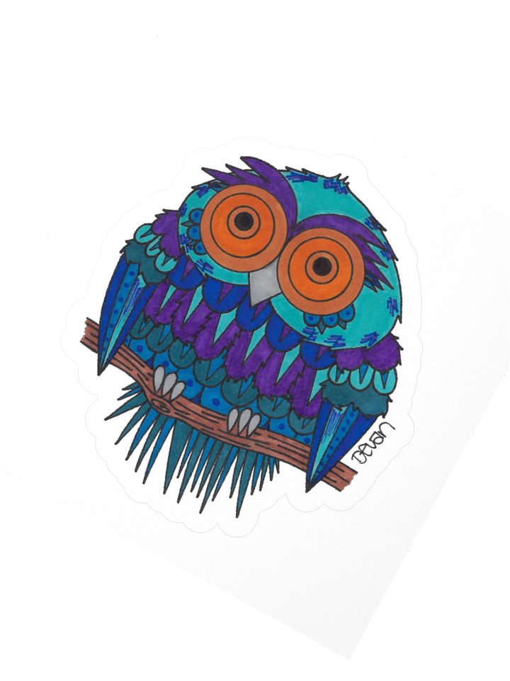 Cousins Owl: Rain Sticker product image (2)
